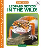 Leopard Geckos in the Wild!