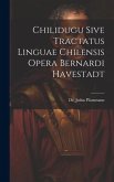 Chilidugu Sive Tractatus Linguae Chilensis Opera Bernardi Havestadt