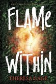Book Three of the Flame Series: Flame Within Book Three of the Flame Series: Flame Within