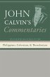 Commentaries on the Epistles of Paul... - Bild 1