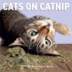 Cats on Catnip Wall Calendar 2025 - Marttila, Andrew; Workman Calendars