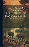 Illustrations de zoologie, ou, Recueil de figures d'animaux peintes d'après nature Illustrations de zoologie, ou, Recueil de figures d'animaux peintes d'après nature