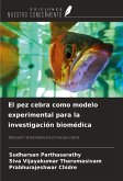 El pez cebra como modelo experimental para la investigación biomédica