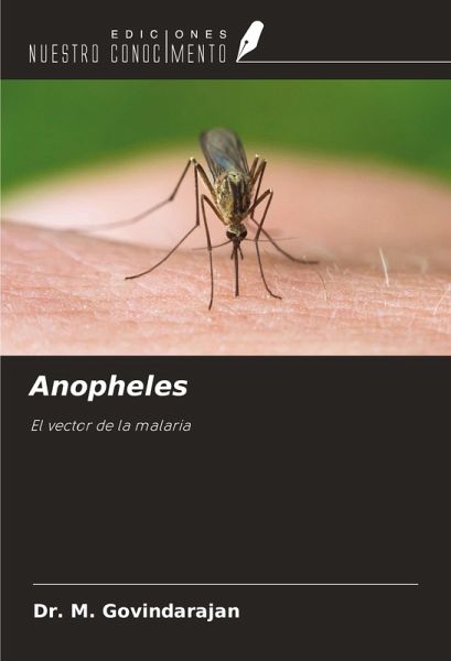Anopheles