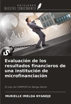 Cover Evaluación de los resultados financieros de una institución de microfinanciación