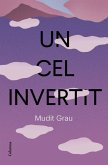 Un cel invertit