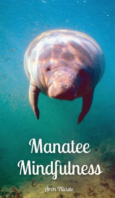 Manatee Mindfulness - Pilviste, Aron