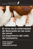 El virus de la enfermedad de Newcastle en las aves de corral La experiencia del valle de Cachemira