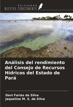 Cover Análisis del rendimiento del Consejo de Recursos Hídricos del Estado de Pará