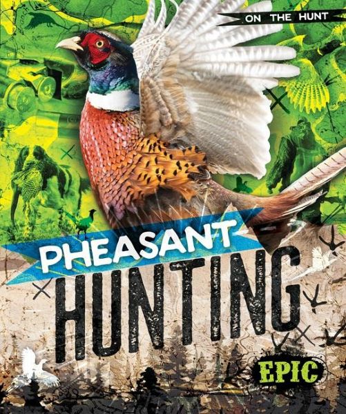 Pheasant Hunting Pheasant Hunting