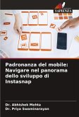 Padronanza del mobile: Navigare nel panorama dello sviluppo di Instasnap