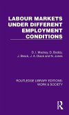 Labour Markets Under Different Employment Conditions Labour Markets Under Different Employment Conditions