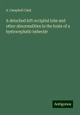 A detached left occipital lobe and other abnormalities in the brain of a hydrocephalic imbecile