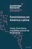 Feminismos en America Latina