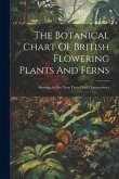 The Botanical Chart Of British Flowering Plants And Ferns: Shewing At One View Their Chief Characteristics