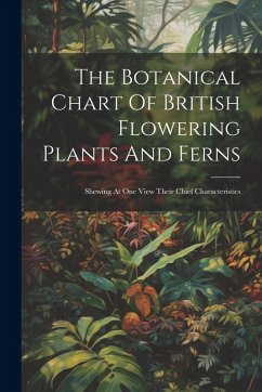 Cover The Botanical Chart Of British Flowering Plants And Ferns