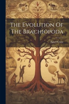 Cover The Evolution Of The Brachiopoda