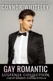 Gay Romantic Suspense Collection Gay Romantic Suspense Collection