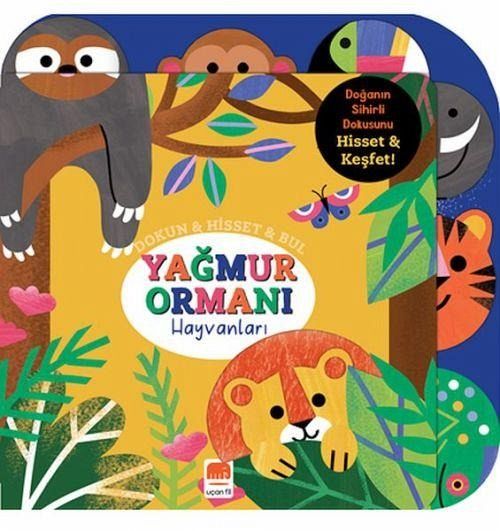 Yagmur Ormani Hayvanlari