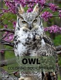 Owl Coloring Book for Kids