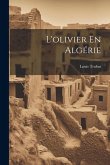 L'olivier En Algérie L'olivier En Algérie