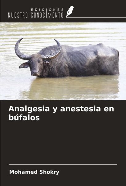 Analgesia y anestesia en búfalos