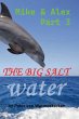The Big Salt Water - Bild 1