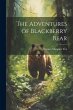 The Adventures of Blackberry Bear - Bild 1