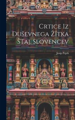 Crtice iz Dusevnega Zitka Staj. Slovencev - Pajek, Josip