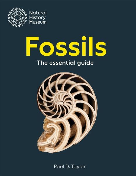 Fossils Fossils