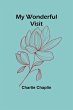 My Wonderful Visit - Bild 1