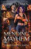 Mending Mayhem Mending Mayhem