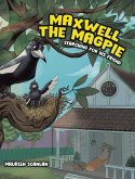 Maxwell the Magpie