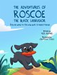The Adventures of Roscoe the Black... - Bild 1