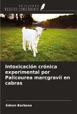 Intoxicación crónica experimental por Palicourea marcgravii en cabras