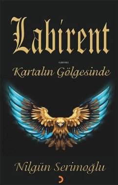 Cover Labirent