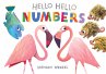 Hello Hello Numbers - Bild 1