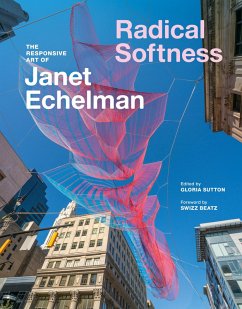 Radical Softness Cover Radical Softness