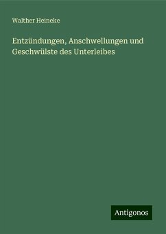 Entzündungen, Anschwellungen und Geschwülste des Unterleibes - Heineke, Walther