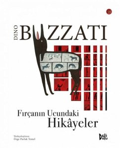 Cover Fircanin Ucundaki Hikayeler