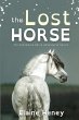 The Lost Horse - Dyslexia Friendly - Bild 1