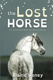 The Lost Horse - Dyslexia Friendly The Lost Horse - Dyslexia Friendly