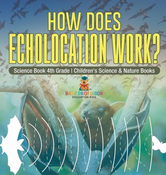 How Does Echolocation Work? Science Book 4th Grade Children's Science & Nature Books How Does Echolocation Work? Science Book 4th Grade Children's Science & Nature Books