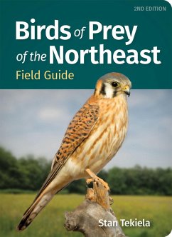 Cover Birds of Prey of the Northeast Field Guide