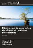 Eliminación de colorantes de efluentes mediante biorresiduos Eliminación de colorantes de efluentes mediante biorresiduos