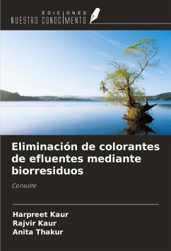 Cover Eliminación de colorantes de efluentes mediante biorresiduos