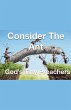 Consider The Ant - God's Tiny Preachers - Bild 1