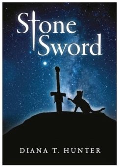 Cover Stone Sword