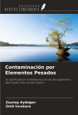 Contaminación por Elementos Pesados