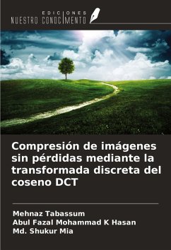 Cover Compresión de imágenes sin pérdidas mediante la transformada discreta del coseno DCT